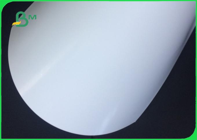 210gsm 250gsm 300gsm High density White SBB Paperboard For paper cup 