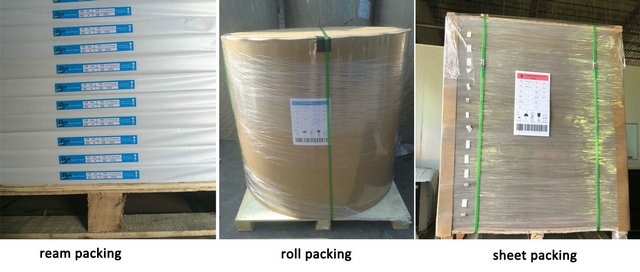 copy paper jumbo roll www.bmpaper.com