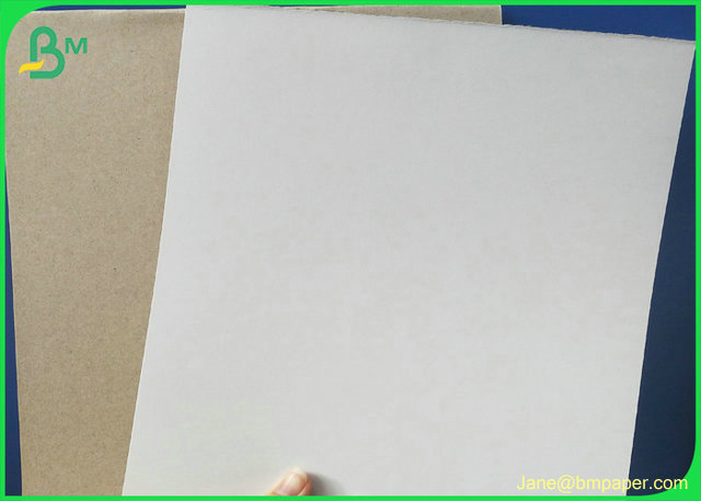 170gsm 180gsm 200gsm White Coated Duplex Paper