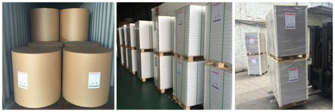 FSC Approved 60g 70g 80g Uncoated Woodfree Paper Offset Printing In Reel or Sheet 