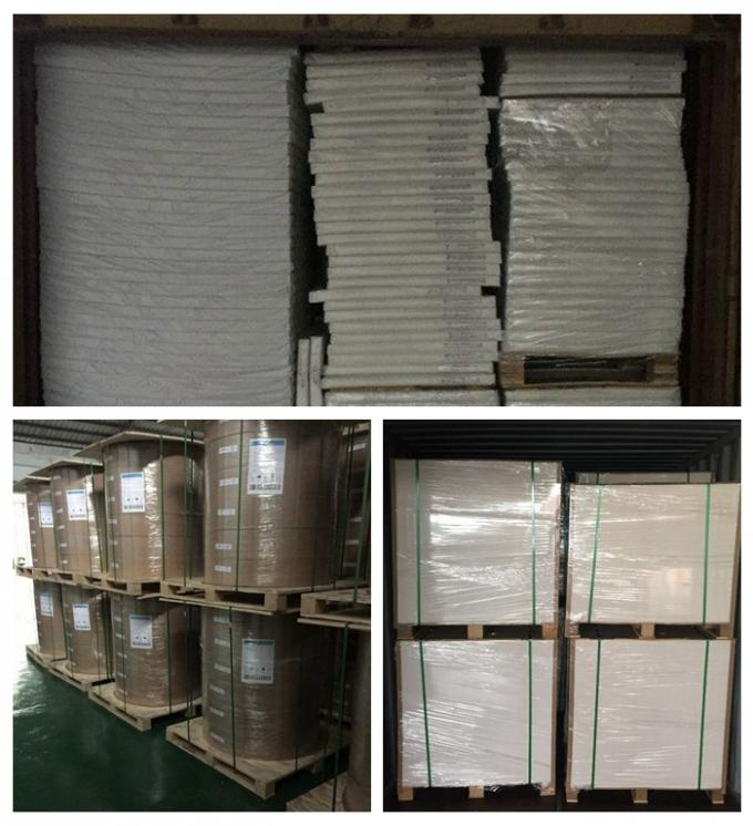 15g / 18g / 20g White PE Kraft Paper Coated One Side And Two Sides For Packing Food