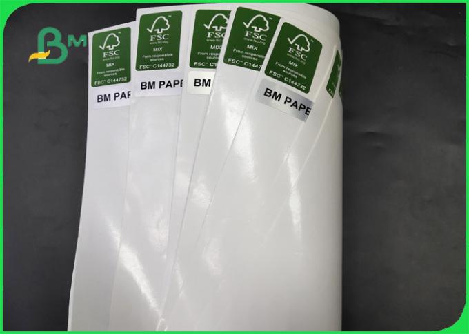 Thickness 30 - 350gsm PE Coated White Color Kraft Paper In Coils For Various Packing