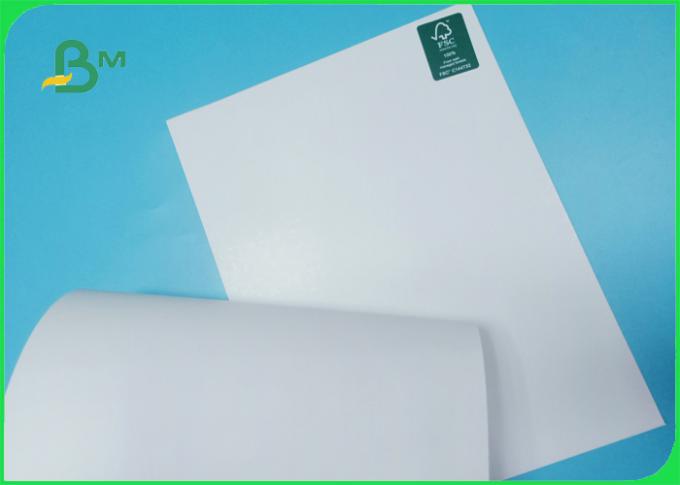 250 / 300gsm FSC certified good printing glossy Folding box board in roll