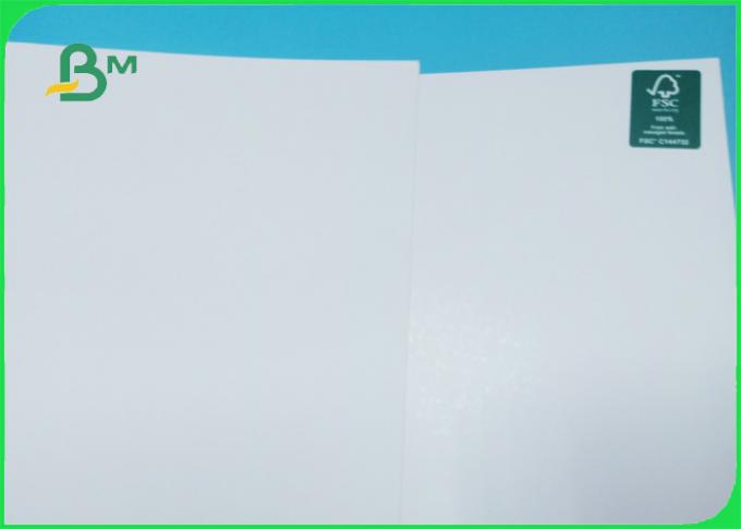 250 / 300gsm FSC certified good printing glossy Folding box board in roll