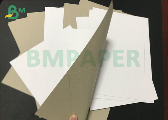 Jumbo menggulung CCNB Claycoat 300gsm 450gsm Duplex Paper Board untuk pengepakan