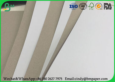 700 * 1000mm Gray Back Duplex Board, 300gsm Dilapisi Duplex Paper Board