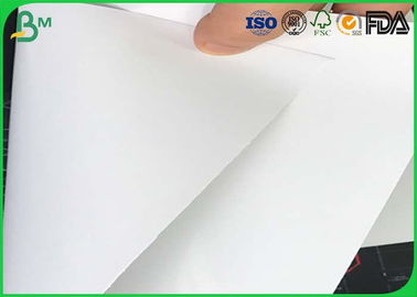 C1s Glossy Food Grade Paper Roll 80 - 130 Gram Untuk Mie Instan / Anggur Label