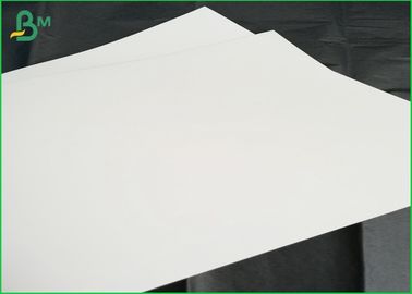 Moisture - proof Jumbo Roll Paper, 120gsm - 460gsm Stone Paper Notebook