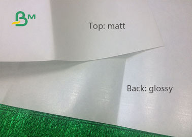 12gsm 15gsm PE Dilapisi Putih Kraft Paper In Roll Untuk Tas Roti