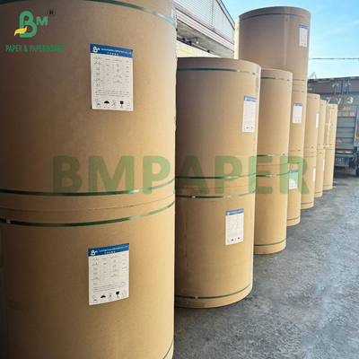 275g + 15g PE Coated Paperboard Untuk Kemasan Makanan Beku Tahan Kelembaban