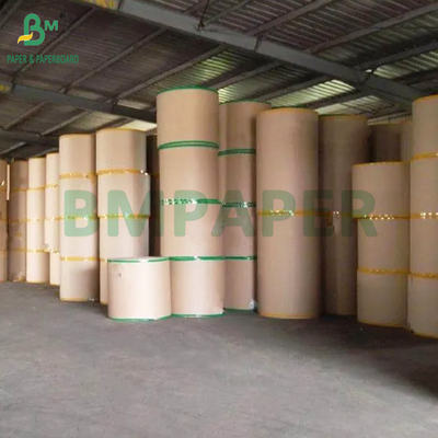 Kelas Makanan Kraft 320gsm + 20g PE Lapisan Kertas Untuk cangkir kopi Bulk tinggi 900mm