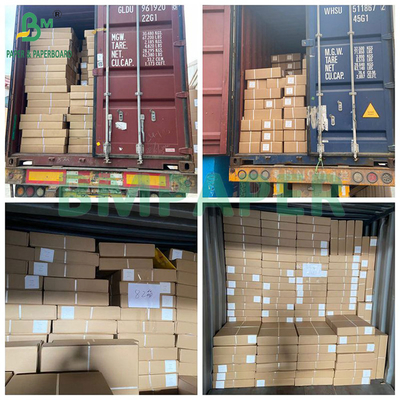20"* 50yard 20lb 2" Core White CAD Bond Paper Untuk Gambar Teknikal