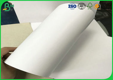 Tear Resistant 200gsm - 450gsm C1S Duplex Paper Rolls Untuk Membuat Packing Box