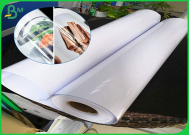 Kertas karton Roll tahan air, 150 gsm 190gsm Tinggi Glossy RC Photo Paper Roll Dengan Matte Kembali Untuk Pigmen Tinta