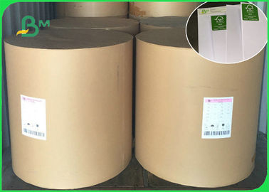 FSC Disetujui 60g 70g 80g Woodfree Kertas Offset Printing Tidak Dilapisi Dalam Gulungan Atau Lembaran