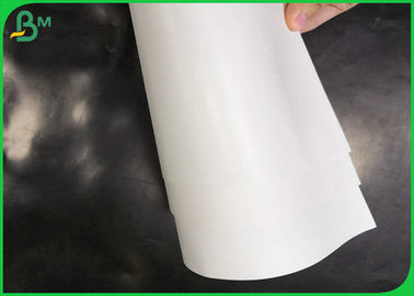 Eco - friendly White Food Grade Paper Roll, 160gsm + 10 gsm PE Coated SBS FBB Paper Roll Untuk Paket Makanan