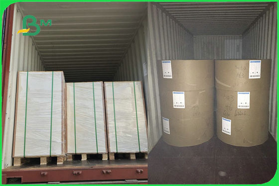 FSC FDA White Food Safe FBB Board 15g PE Coated Paper Untuk Membuat Cup Kustom