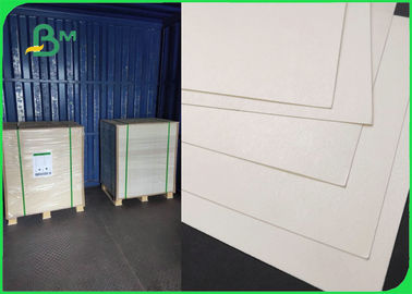230gsm 260gsm PLA Coated Cardboard Untuk Mangkuk 100% Biodegradable Makanan Aman