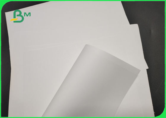 787mm 889mm White C2S Matte Paper Roll Untuk Pencetakan Karya Seni Yang Baik