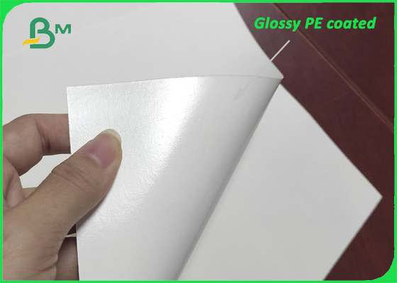 Glossy Single Side PE Film Coated Paper 280g + 15g PE Untuk Paper Cups