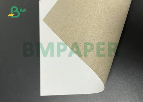 300GSM 350GSM Kertas Duplex Claycoat Kekakuan Tinggi Untuk Kemasan Farmasi