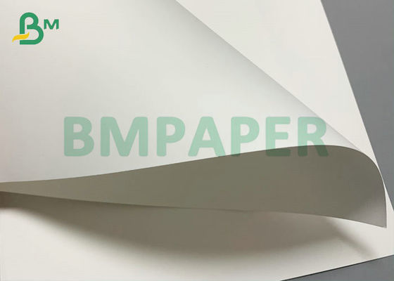 Kertas Sintetis PP 125um 130um Tahan Air Untuk Peta Ukuran Disesuaikan