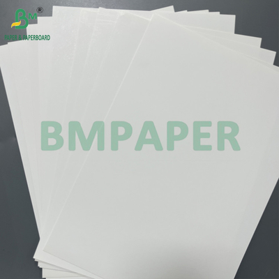 Satu Sisi Dua Sisi Lapisan Putih 120 180 Mikron Termal Synthetic Paper Roll