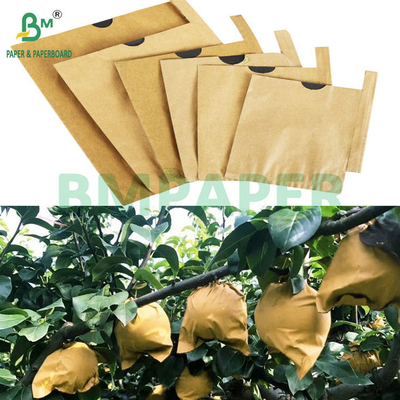 59gm tabir surya tahan air mata Buah Sleeve Paper Brown Atas Hitam Belakang