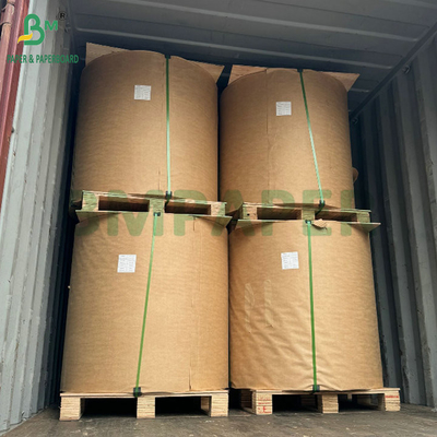 Biodegradable Rainproof Coated Wax Black Mango Protective Fruit Growing Paper (Kertas perlindungan buah mangga hitam)