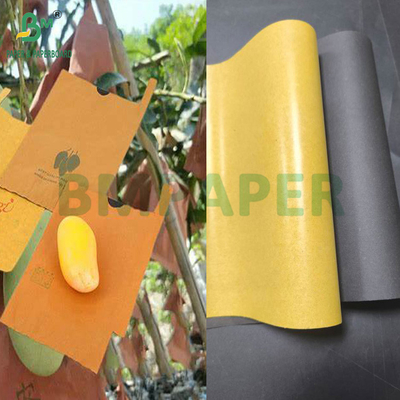 54g 56g Single atau Double Layer Mango Fruit Growing Protection Cover Bag Paper