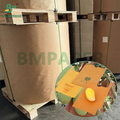 54g 56g Single atau Double Layer Mango Fruit Growing Protection Cover Bag Paper