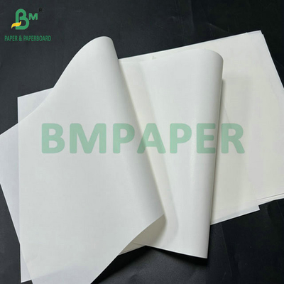65gsm 75gsm Beban tahan beku botol Label kertas Untuk label bir 61 X 86cm