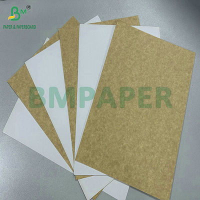 250gr 275gr Satu sisi dilapisi papan pengangkut keamanan pangan untuk membuat kotak makan siang 61 x 86cm