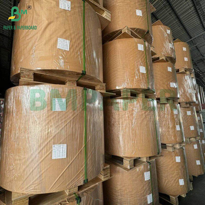 60g Medical Blister Paper Untuk Siring Sekali Pakai 794mm 510mm Roll