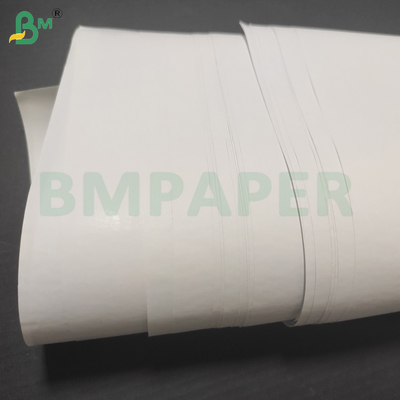 Kasir Dan Kertas Kuitansi Termal 48 gram 570 mm 800 mm Roll