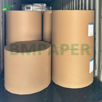 Kasir Dan Kertas Kuitansi Termal 48 gram 570 mm 800 mm Roll