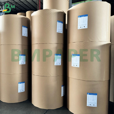Kasir Dan Kertas Kuitansi Termal 48 gram 570 mm 800 mm Roll