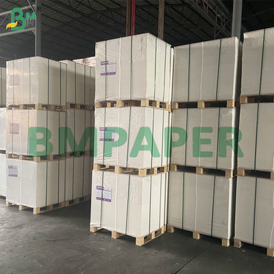 50 GSM Tanpa Bau, Tahan Panas, Lembar Kertas Filter Kopi