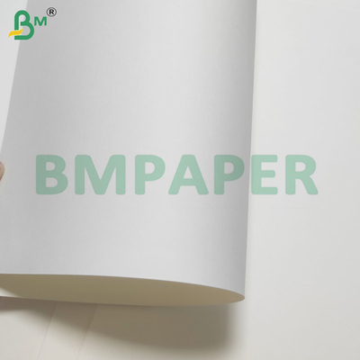 135-350 GSM Double Size PE Coated Waterproof Paper untuk cangkir dan mangkuk