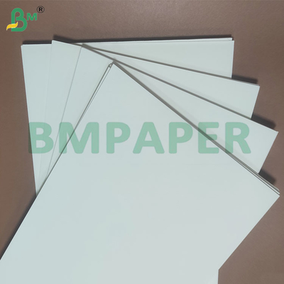 135-350 GSM Double Size PE Coated Waterproof Paper untuk cangkir dan mangkuk
