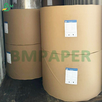 135-350 GSM Double Size PE Coated Waterproof Paper untuk cangkir dan mangkuk