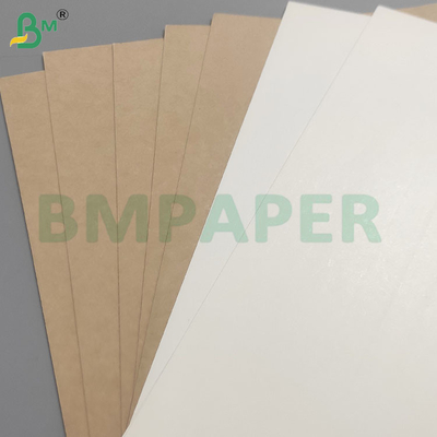 190gsm+15gsm PE Lapisan kertas cokelat tahan air untuk cangkir