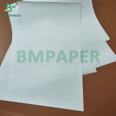Jumbo Roll High Bulk 65gsm 90um Thermal Paper Untuk Logistik Label 600mm