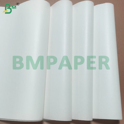 Biodegradable Food Safe Cupcake Sheets dengan Silicone Coated