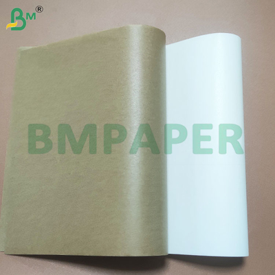 Biodegradable Food Safe Cupcake Sheets dengan Silicone Coated