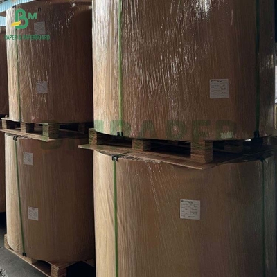 Biodegradable 100gm - 400gm Natural Sugarcane Bagasse Pulp Base Paper Roll