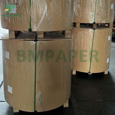 Biodegradable 100gm - 400gm Natural Sugarcane Bagasse Pulp Base Paper Roll