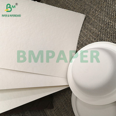 Biodegradable 100gm - 400gm Natural Sugarcane Bagasse Pulp Base Paper Roll