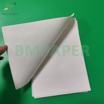 50gm 328mm 500mm Putih Dan Brown Coffee Filter Paper Roll Food Grade
