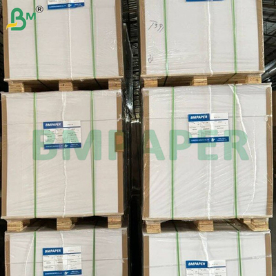 Kertas NCR Ramah Lingkungan